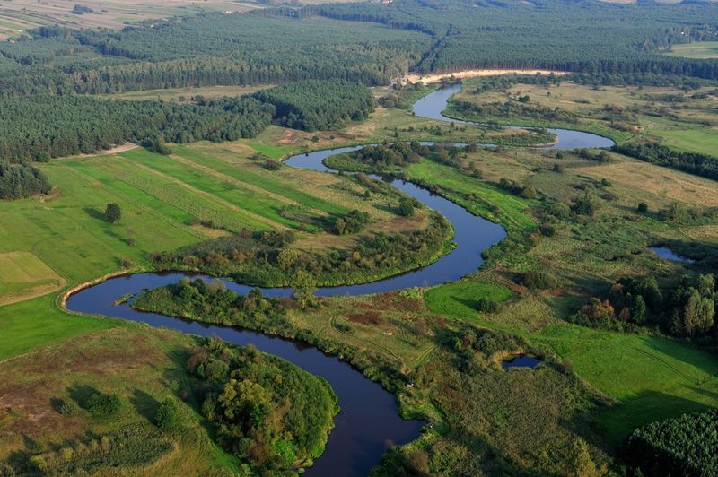 Drone view - the meandering Pilica river among fields.