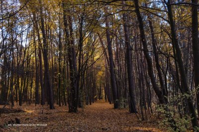 23 września &ndash; Pierwszy Dzień Jesieni